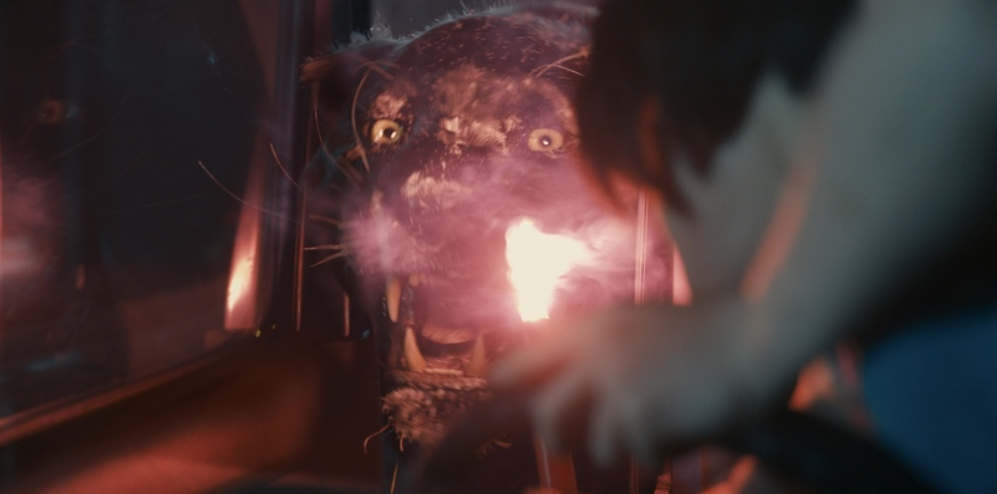 5 фактов, о которых вы не знали в сериале Алиса в пограничье